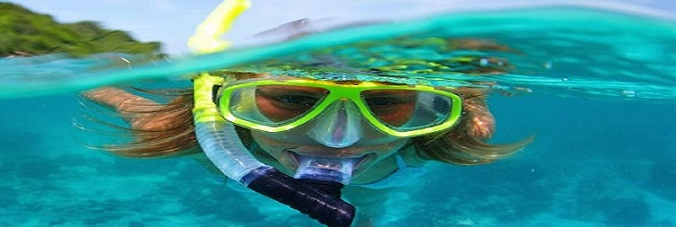 পিংওয়েতে স্কুবা ডাইভিং ট্যুর