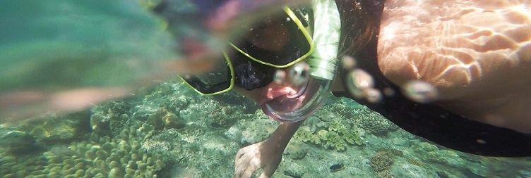 Diving Nungwi Northern Reefs