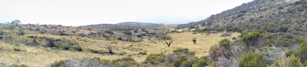 Simba Camp – Second Cave Camp