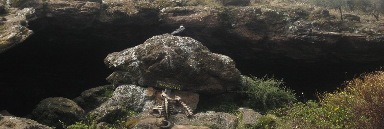 Kikelewa Camp to Mawenzi Tarn Camp