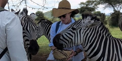 2-Day Serval Wildlife Luxury Lodge, Sanctuary Experience & Tarangire Safari from Moshi