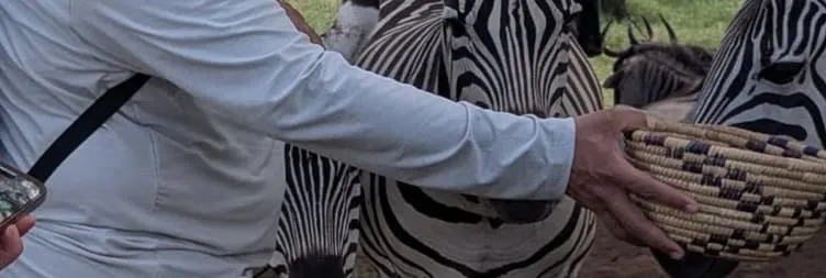 Tarangire National Park & Return to Moshi