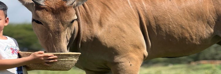 Serval Wildlife Sanctuary to Kilimanjaro International Airport (JRO)