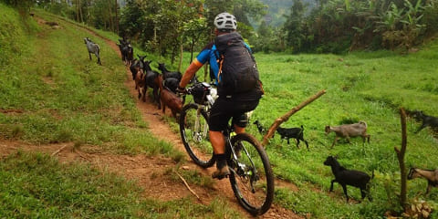 ทัวร์ปั่นจักรยานพร้อมไกด์ส่วนตัว 1 วันสู่ทัวร์น้ำตกเซซิบวาจากเอนเทบเบ ประเทศยูกันดา
