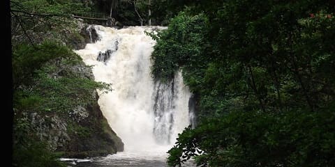 1 jou vwayaj prive Sezibwa kaskad dlo nan Kampala, Uganda (2026 - 2027)