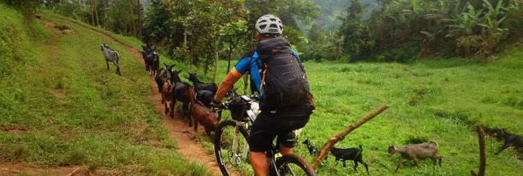 Day Trip Guided Cycling Tour to Sezibwa Waterfall