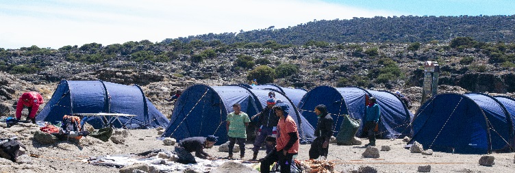 Mti Mkubwa Camp (2650m) to Shira II Camp (3,890 meters)
