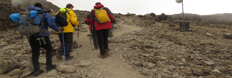 Machame Camp (2835 m) to Shira Cave Camp (3,750 m) 4-6 hours