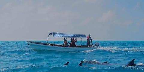 1 Day Private Snorkeling Tour in Pingwe, Zanzibar (2026 - 2027)
