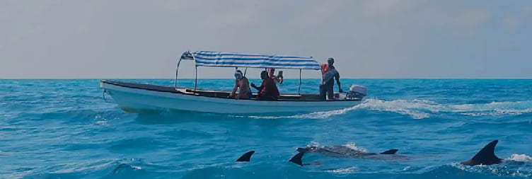 Blue Lagoon Snorkeling Tour