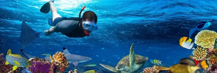 Blue Lagoon Snorkeling Tour