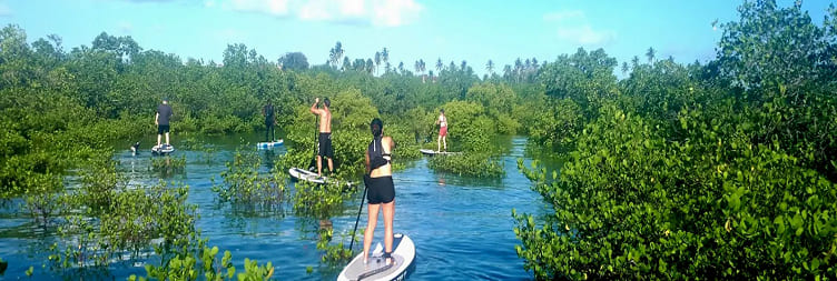 ਕਿਵੇਗਵਾ ਵਿੱਚ ਪੈਡਲਬੋਰਡਿੰਗ ਟੂਰ