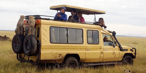 6-Day Private Luxury Lodge Tanzania Safari in Africa (Tarangire, Serengeti, Ngorongoro, and Lake Manyara) from Turkey