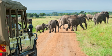 Kwanaki 5 Rukunin Tanzaniya Tsakanin Range Safari daga Nairobi (2026 - 2027)