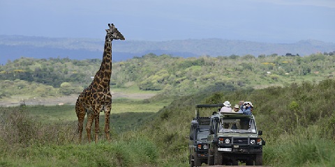 1 Day Tarangire Group Safari from Arusha in Tanzania (2026 - 2027)