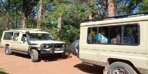 4-Day Group Mid-Range Safari lati Moshi, Tanzania