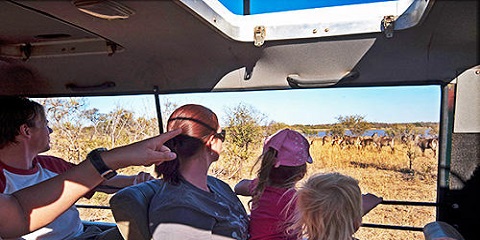 4-Day Tanzania Group Budget Safari from Arusha Airport (Tarangire, Serengeti, and Ngorongoro