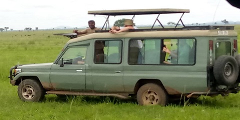 Safari Berkemah Hemat 2 Hari (Taman Nasional Danau Manyara & Kawah Ngorongoro) dari Moshi, Tanzania