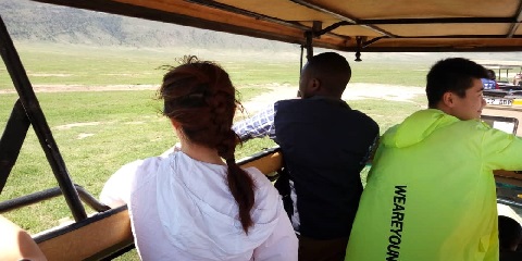 6-Day Group Mid-Range Lodge Safari in Tanzania, Africa to Tarangire, Serengeti, Ngorongoro & Lake Manyara from Turkey