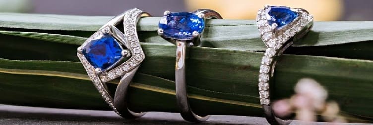 Mto Wa Mbu मध्ये Tanzanite शॉपिंग टूर