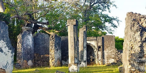 1-päevane privaatne Tongoni ajalooliste varemete reis Tansaaniast Lushotost (2026–2027)