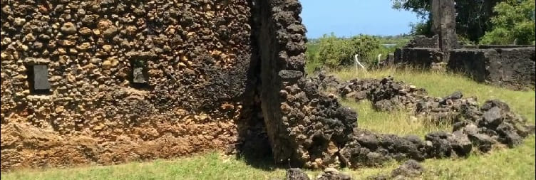 Private Tongoni Historical Ruins Day Trip