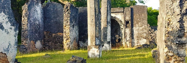 ಖಾಸಗಿ ಟೊಂಗೊನಿ ಐತಿಹಾಸಿಕ ಅವಶೇಷಗಳ ದಿನದ ಪ್ರವಾಸ
