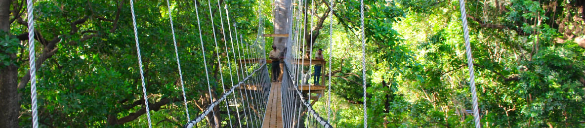 From Arusha to Lake Manyara National Park, Tanzania: 1 Day Group Safari - Tanzania Safari Tour Banner