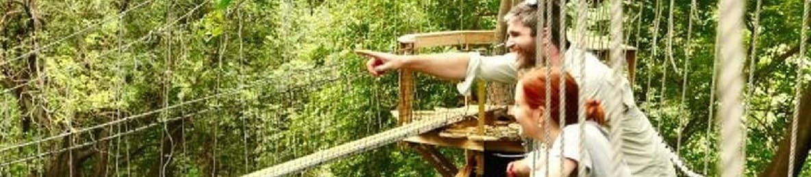 Affordable 5-Day Tarangire,Serengeti, Ngorongoro and Lake Manyara Camping Safari - Tanzania Safari Tour Banner