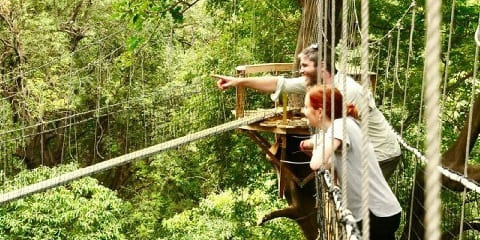 5-Day Tanzania Group Mid-Range Safari from Arusha Airport