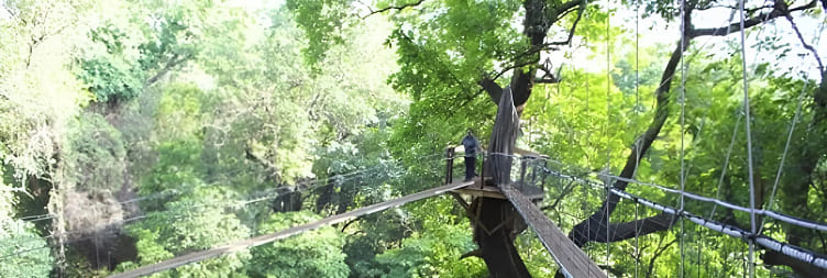 Lake Manyara - Arusha