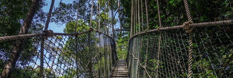 Arusha to Lake Manyara National Park - Mto wa Mbu