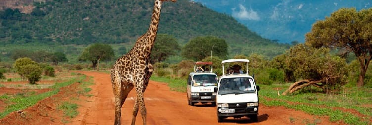 Mombasa – Tsavo East National Park