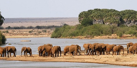 2-Day Luxury Tsavo East & Tsavo West Safari from Malindi