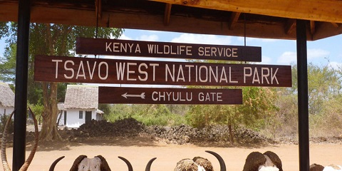 2-Day Tsavo East & Tsavo West Mid-Range Safari from Watamu