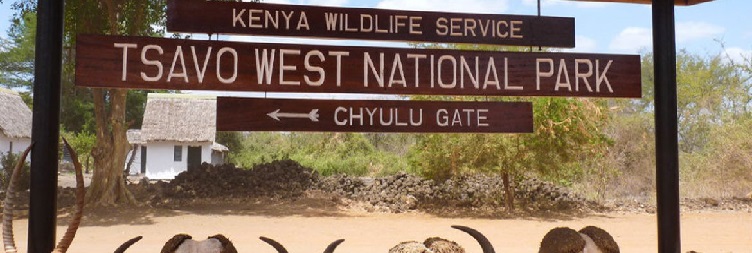 Nairobi to Tsavo West National Park