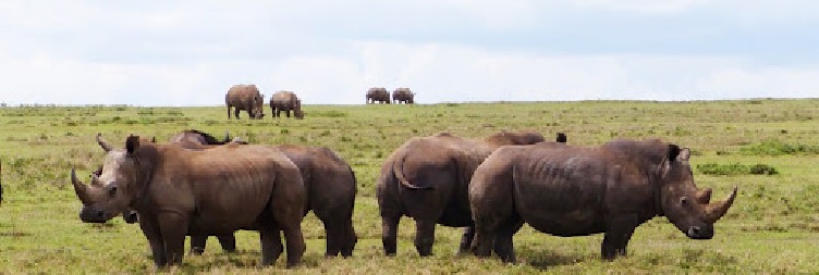 Tsavo West – Mombasa