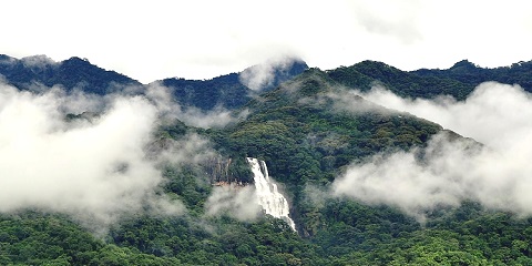 4 ቀናት ሚኩሚ እና ኡድዙንግዋ የግል መካከለኛ ክልል ሳፋሪ ከሞሮጎሮ ታንዛኒያ (2026 - 2027)