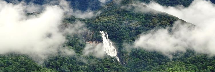 Udzungwa to Nyerere National Park (Selous Game Reserve)