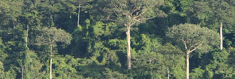 Udzungwa Mountains to Dar es Salaam