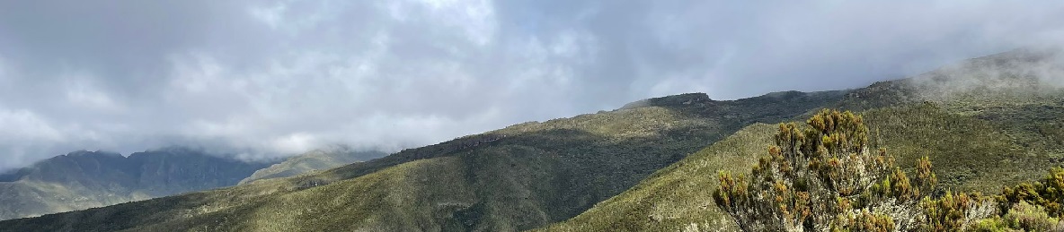 Moshi – Umbwe Gate (1800 m) – Umbwe Cave Camp (2850 m)