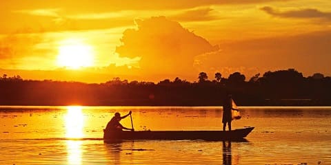 19 روز با بودجه خصوصی گوریل‌گردی اوگاندا، سافاری حیات وحش، پیاده‌روی در کلیمانجارو، و تعطیلات زنگبار از موشی (2026 - 2027)