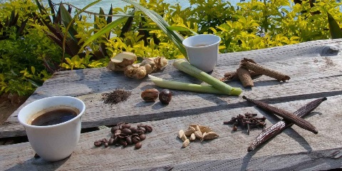 Excursió privada de mig dia amb cafè local a Stone Town, Zanzíbar (2026-2027)