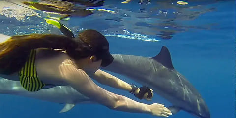 Tur Lumba-lumba Pribadi Setengah Hari dari Mangapwani di Zanzibar (2026 - 2027)