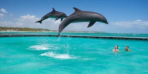 1 Araw na Pribadong Jozani Forest at Dolphin Adventure mula sa Mangapwani sa Zanzibar (2026 - 2027)