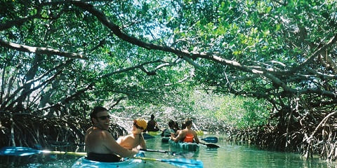 Udhëtim gjysmë ditor privat me kajak nga Pongwe në Zanzibar (2026 - 2027)