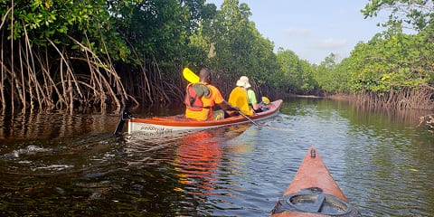 Nungwi၊ Zanzibar (2026 - 2027) တွင် သီးသန့် Kayaking ခရီးစဉ်