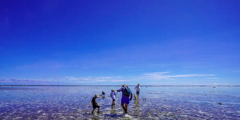 Hálfs dags einkarifgönguferð með leiðsögn í Uroa, Zanzibar (2026 - 2027)