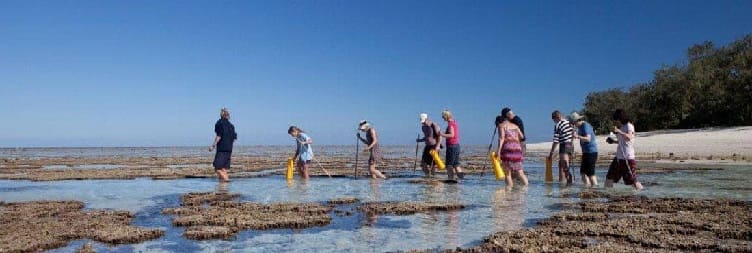 Вођена шетња гребеном у Урои