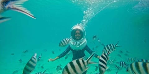 Halvdags privat havvandringseventyr fra Matemwe i Zanzibar (2026 - 2027)